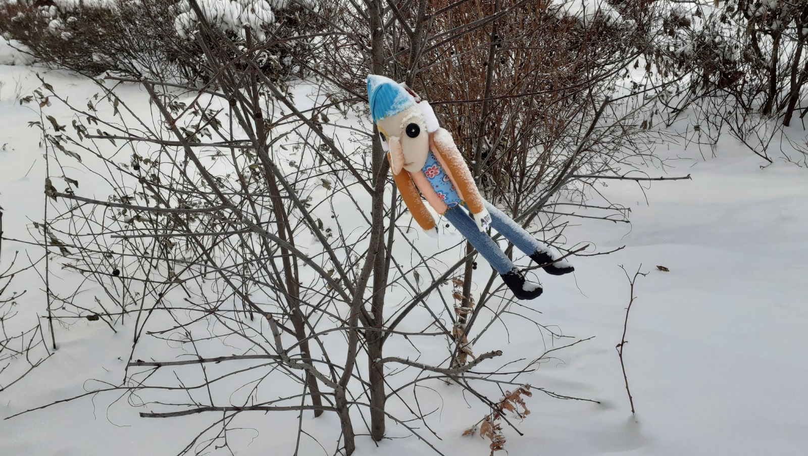 Владимира Шакиева.