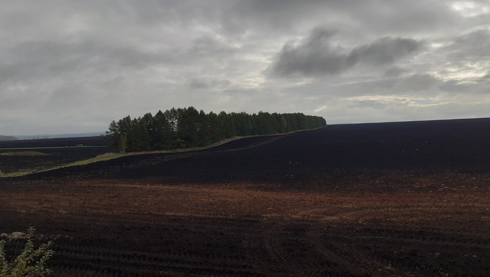 Владимира Шакиева.