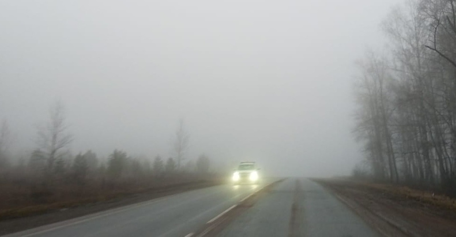 Евгении Сюткиной. «Общественная электронная газета».