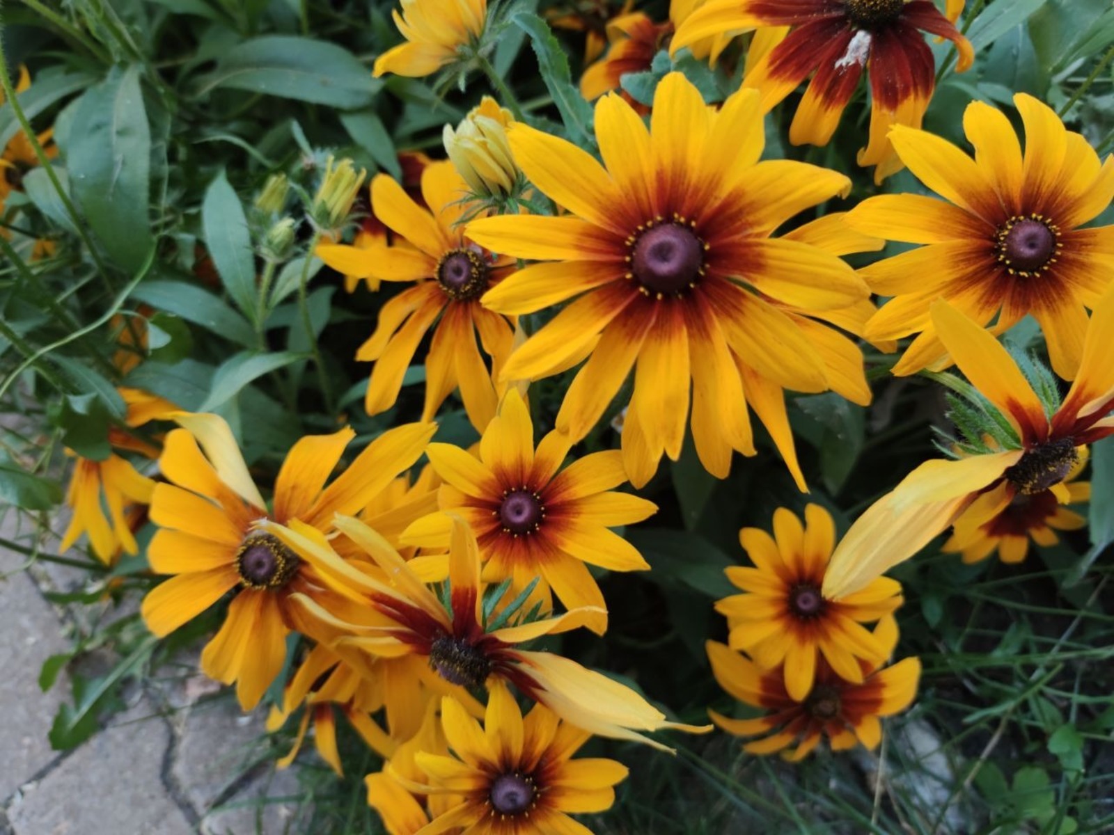 Дарьи Святохиной.