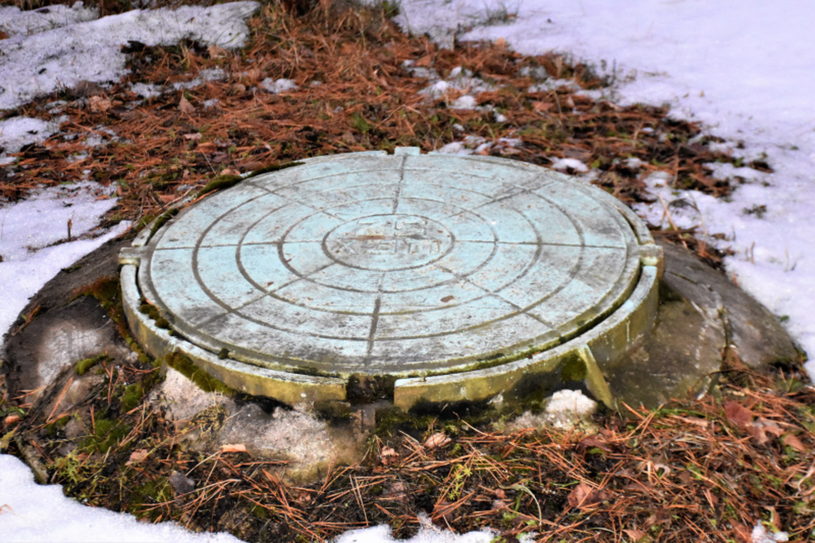 Фото Елены Колоколовой.