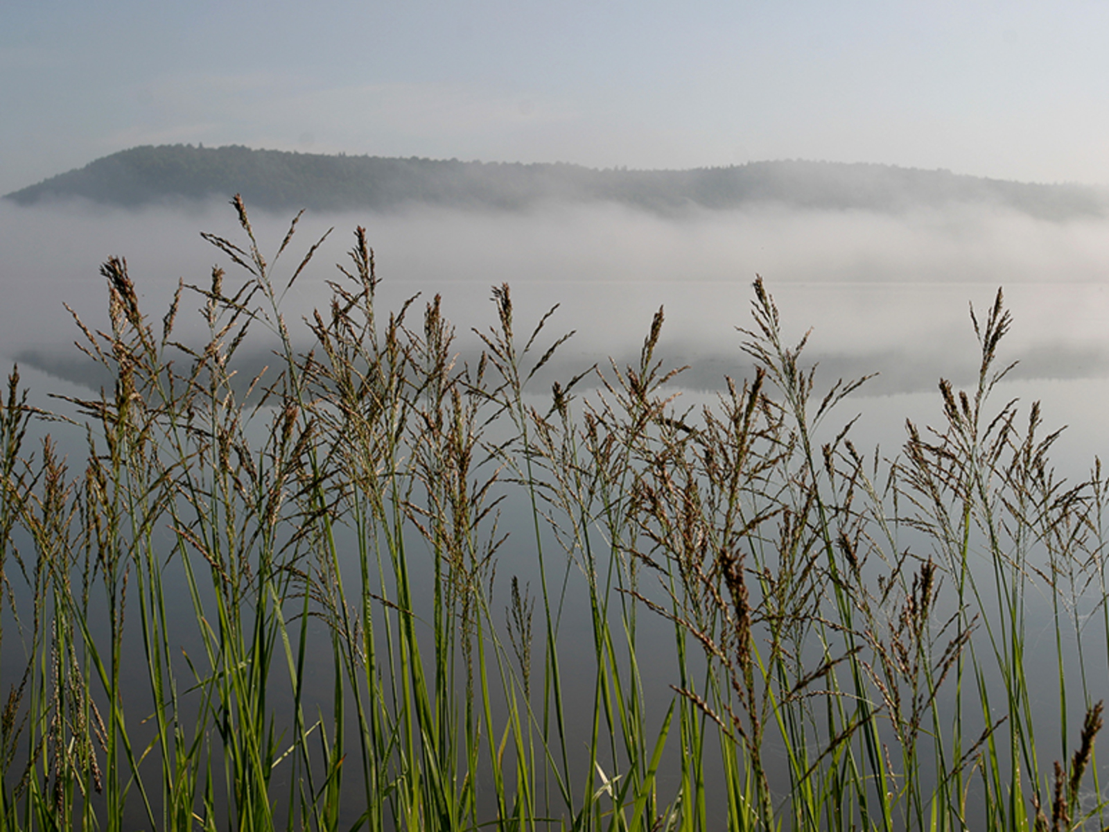 Фото Олега Яровикова.