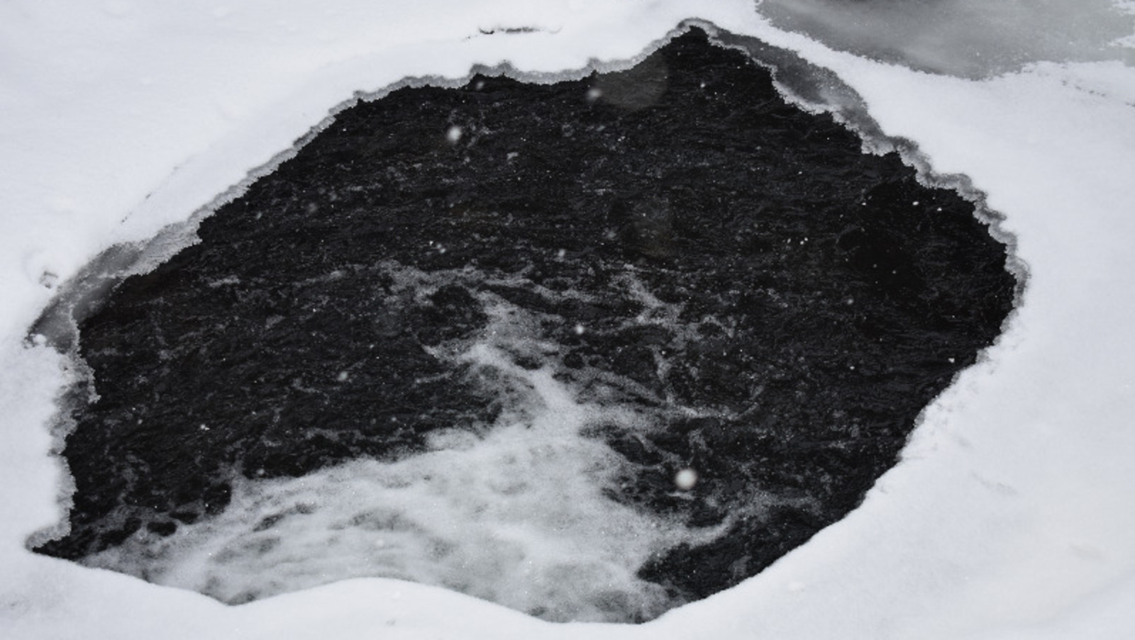 Елены Колоколовой.