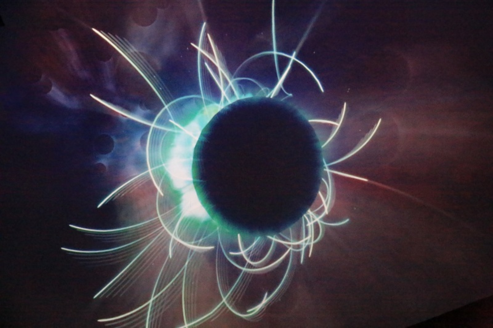 Фото Андрея Старостина.