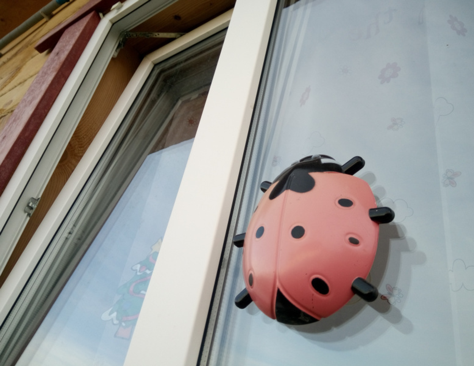 Фото Васили Саитовой.