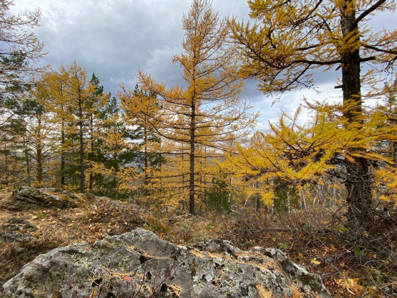 Фото автора.