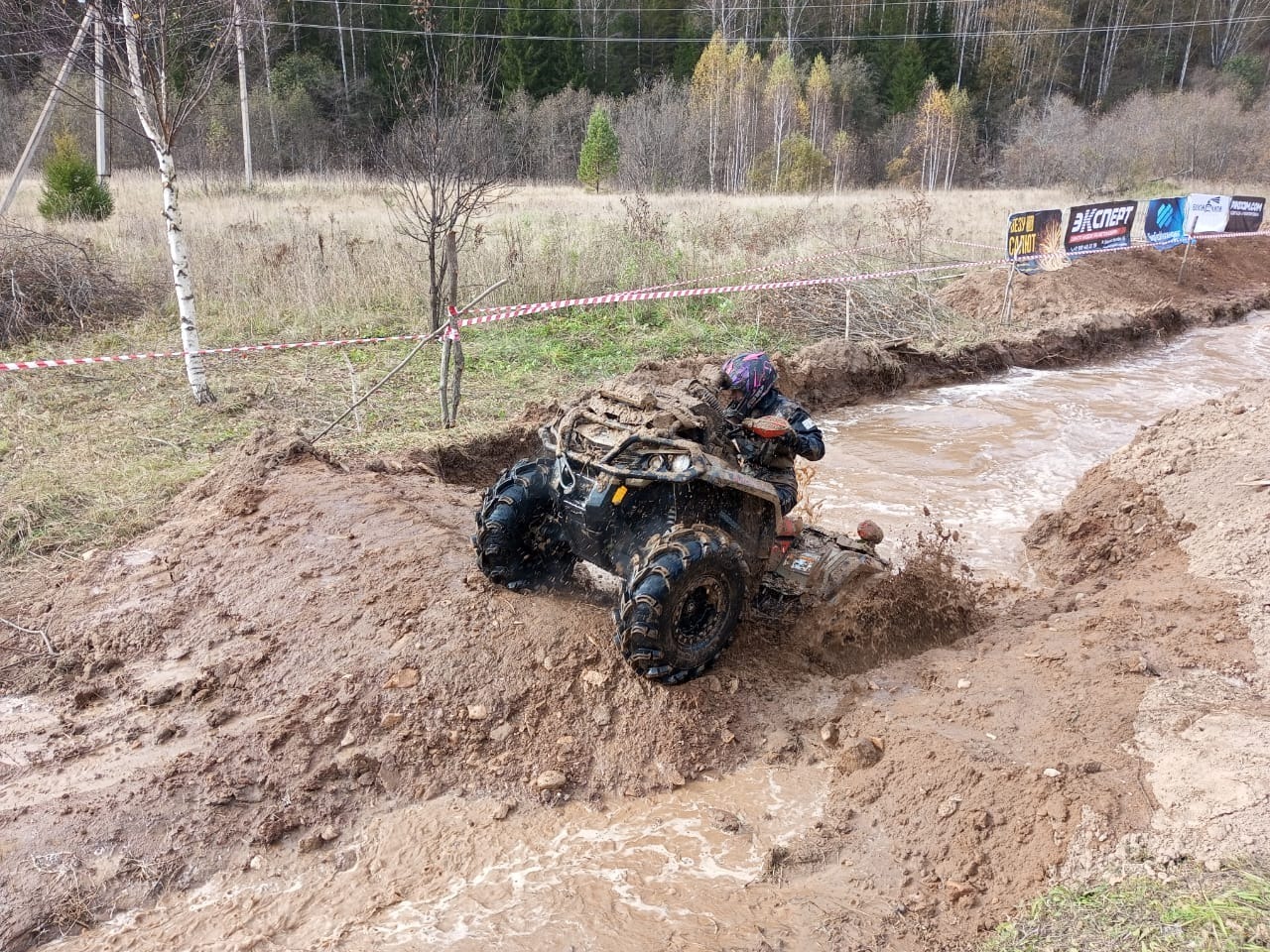 Евгении Сюткиной.