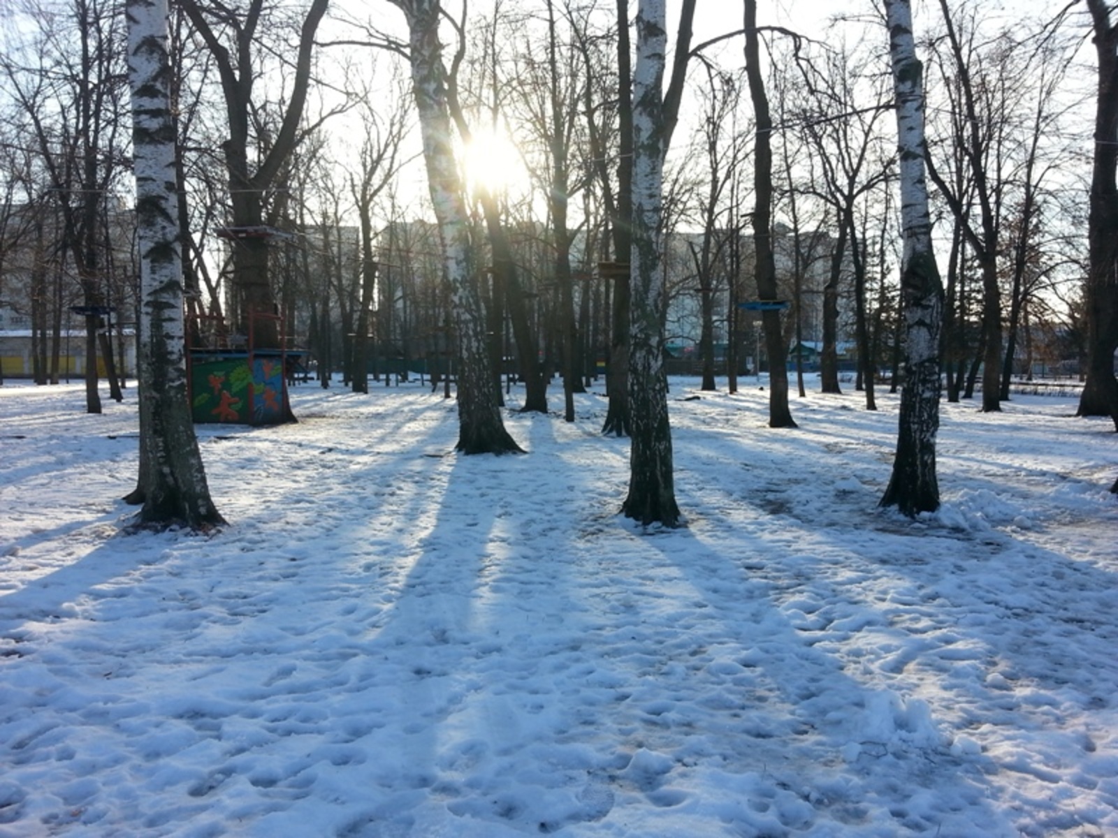 Фото автора.