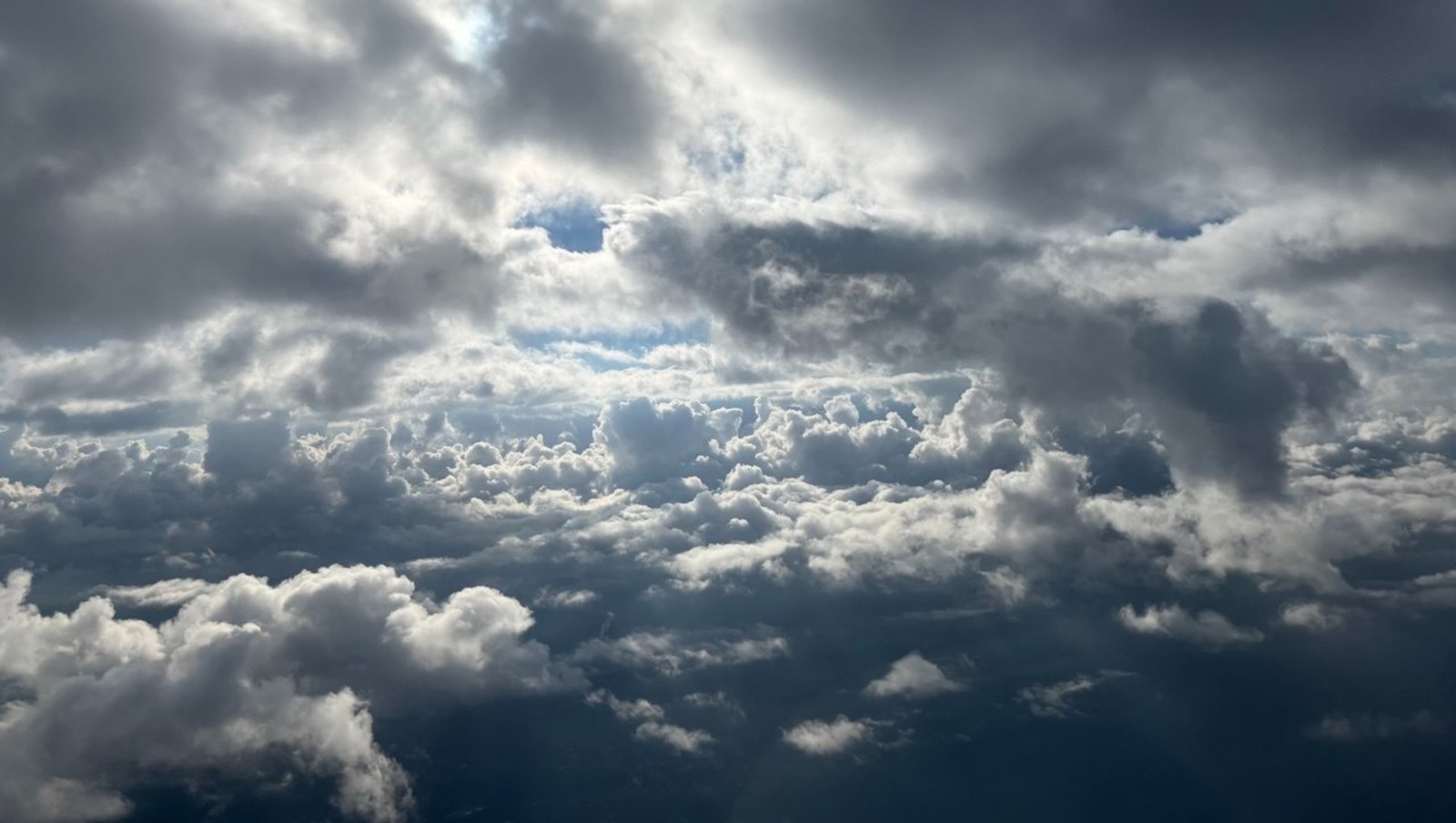 Елены Колоколовой.