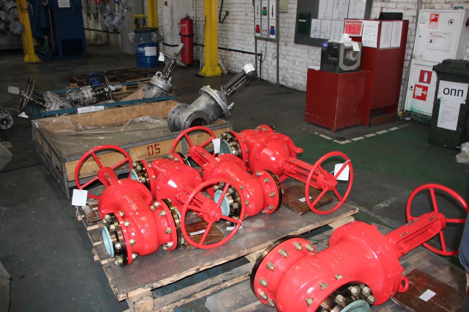 Евгении Сюткиной.