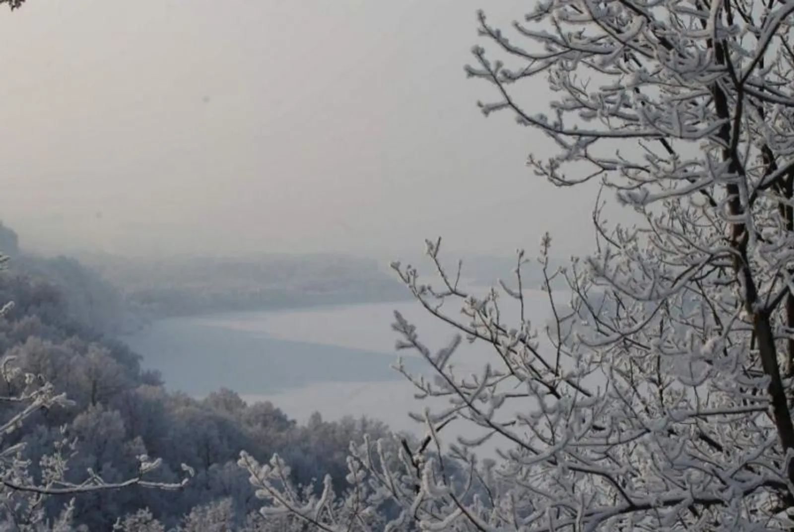 Фото Олега Яровикова.