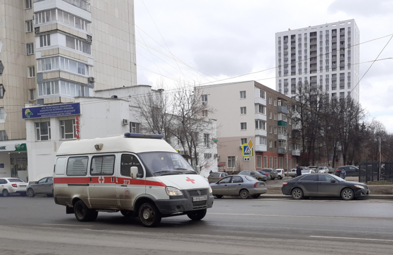 Фото автора.