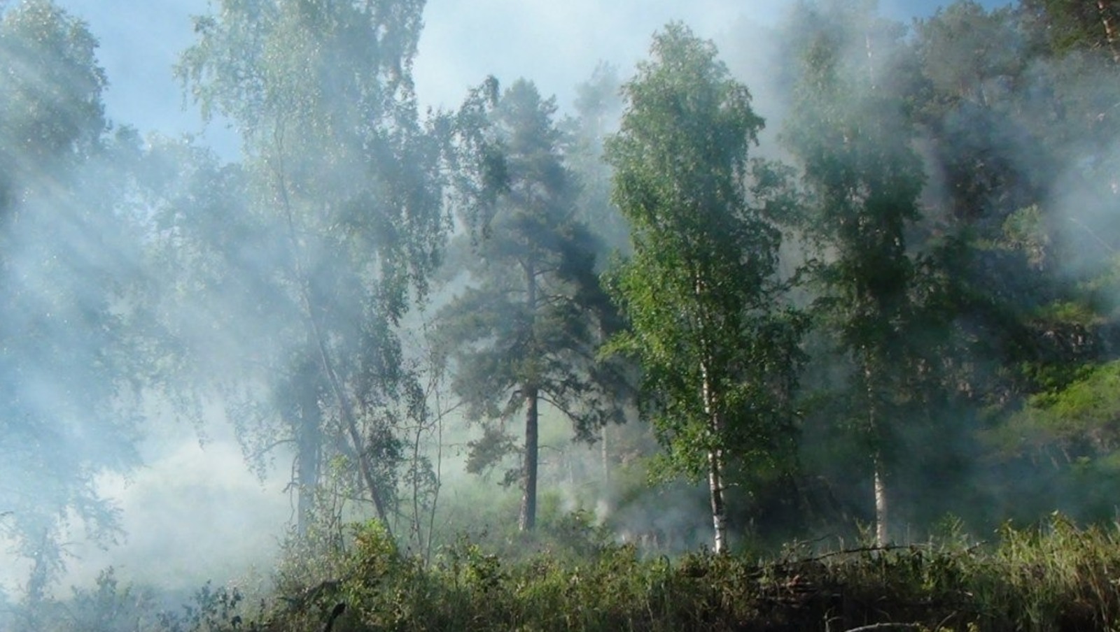 Владимира Шакиева.