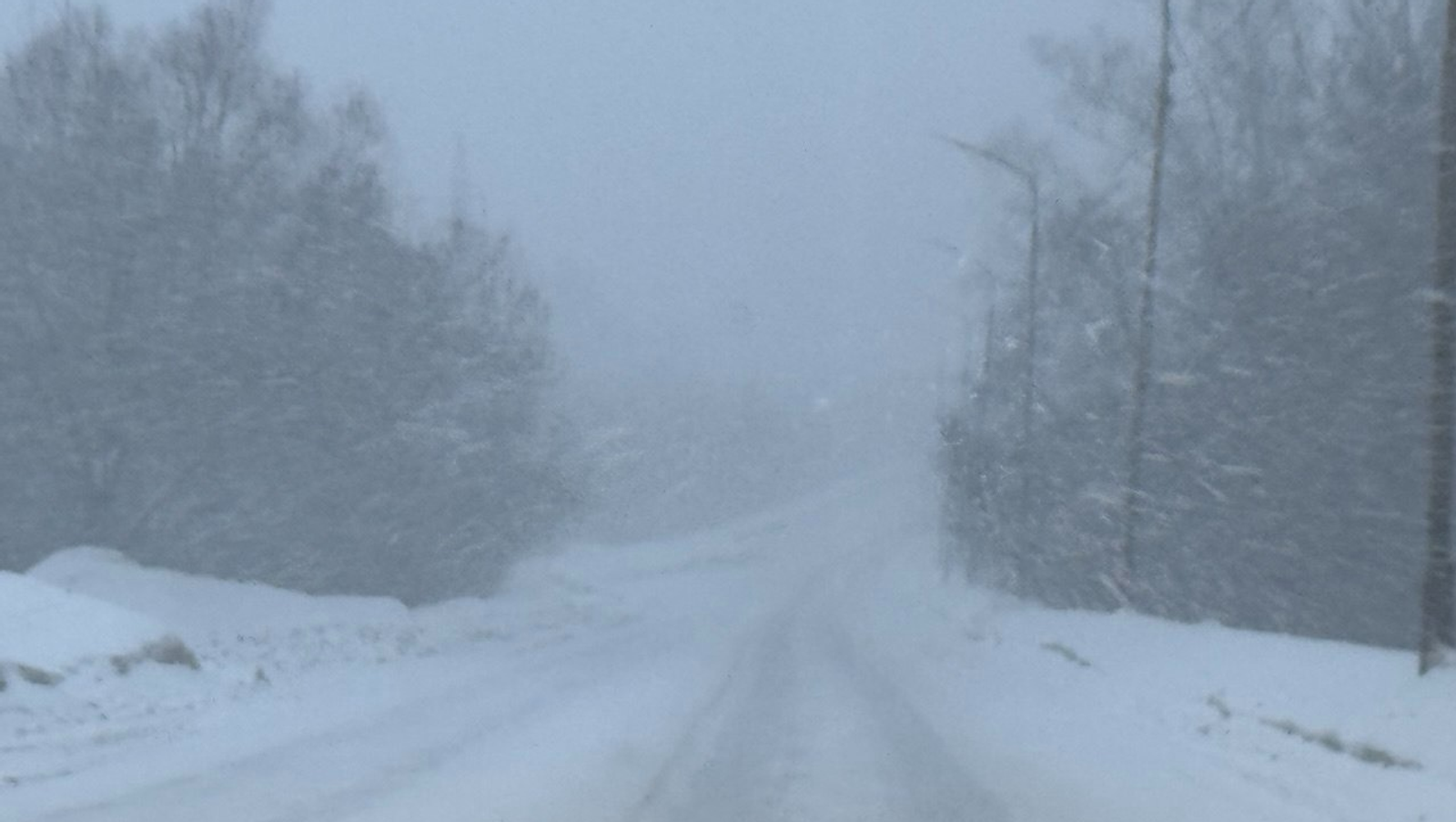 Елены Колоколовой.  «Общественная электронная газета».