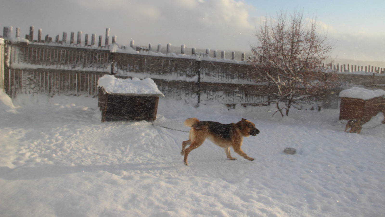 Елены Колоколовой.