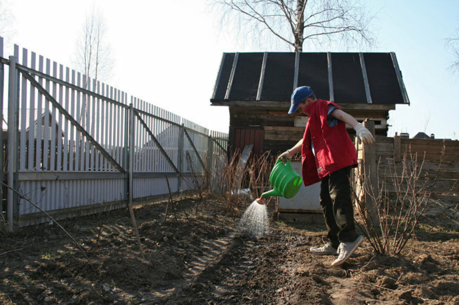 Фото с сайта www.mn.ru.