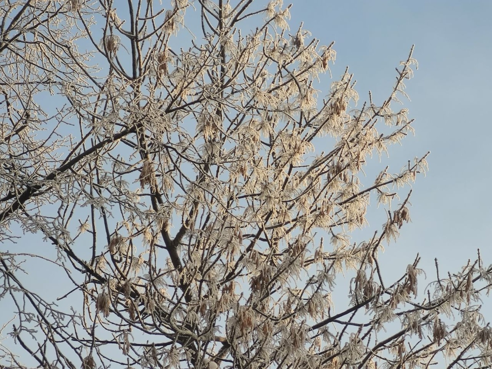 Дарьи Святохиной. «Общественная электронная газета».