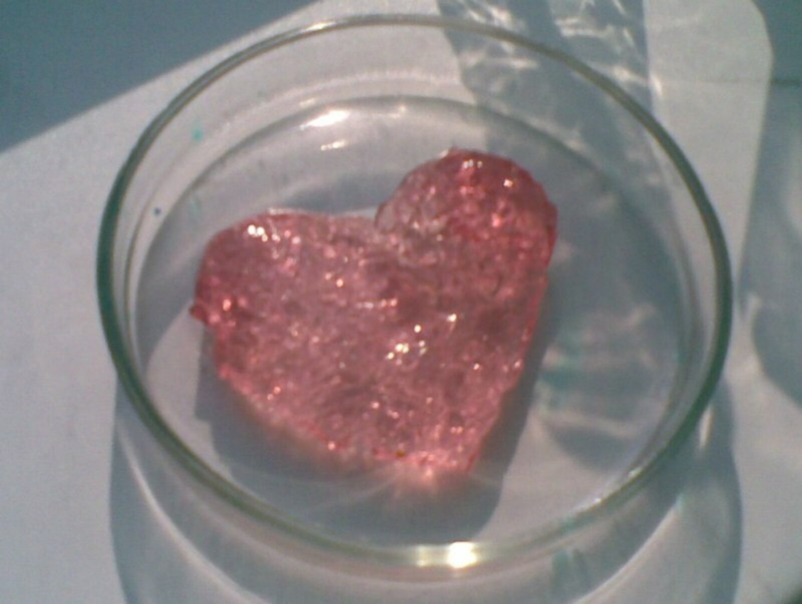 Фото предоставлено Римой Лукша.