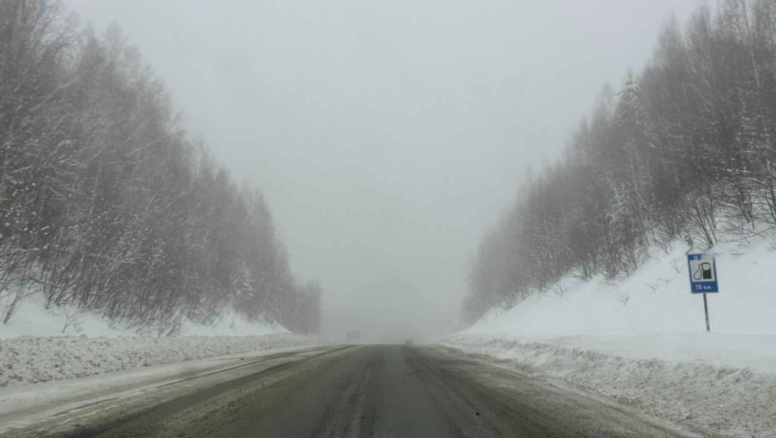 Елены Колоколовой.  «Общественная электронная газета».