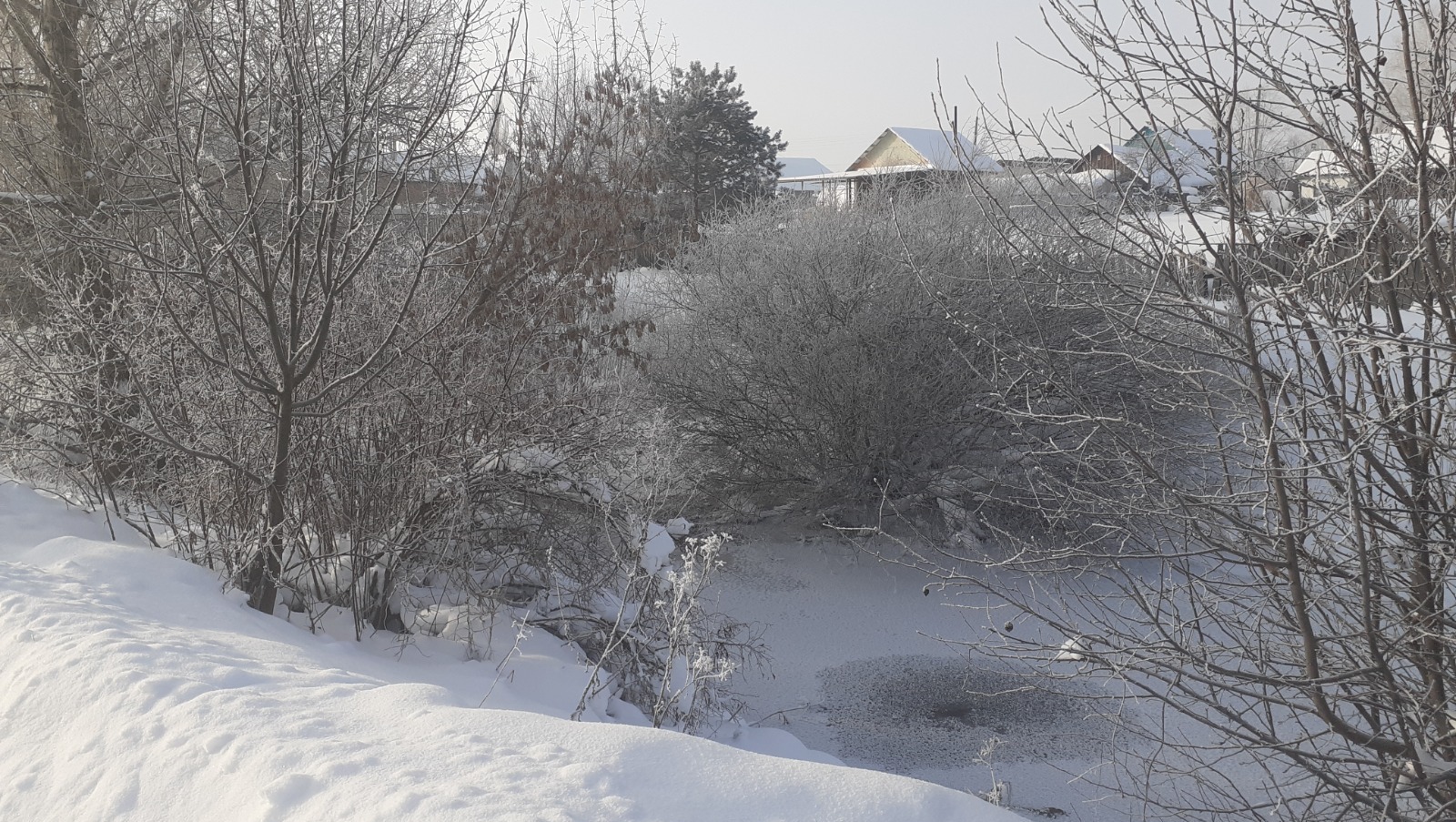 Владимира Шакиева. «Общественная электронная газета».