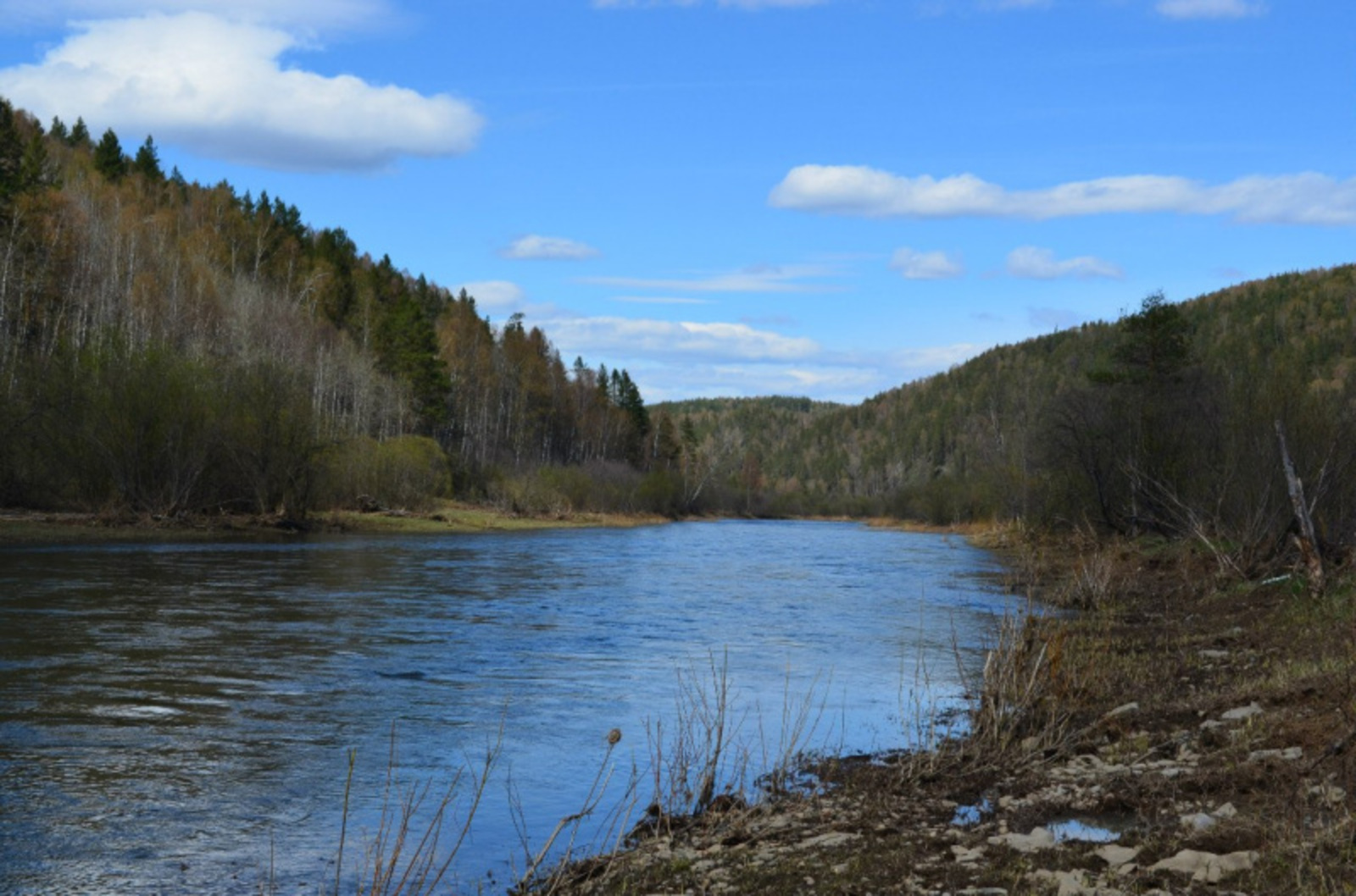 Фото автора.