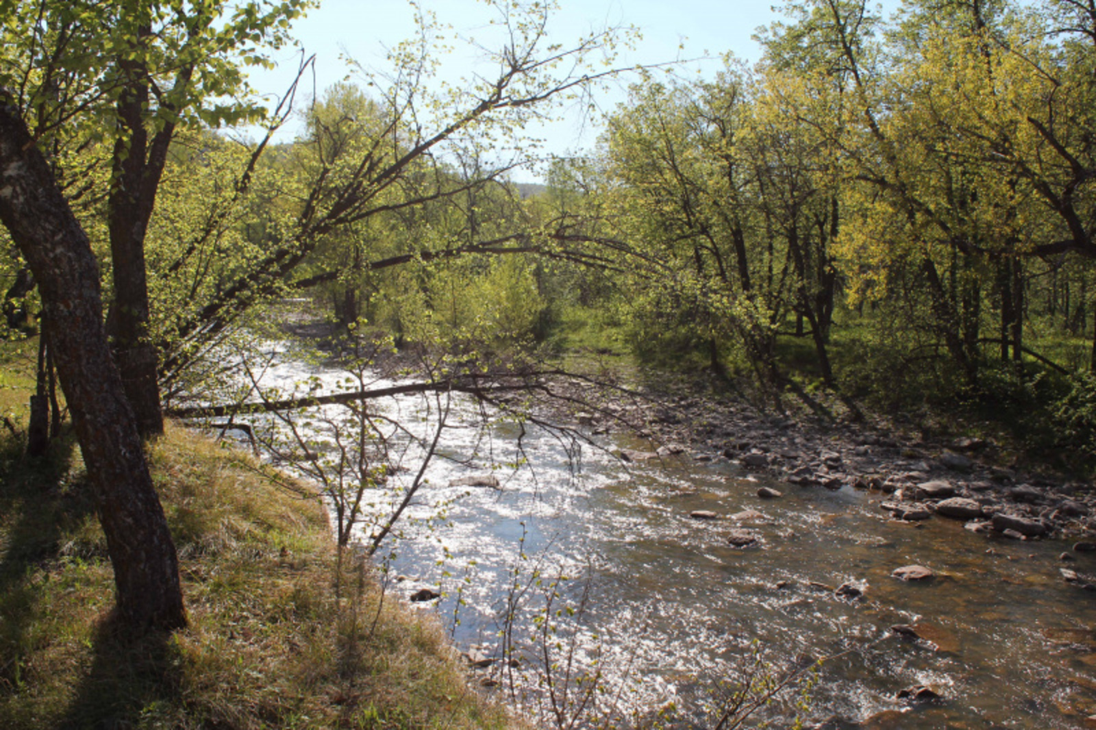 Фото автора.