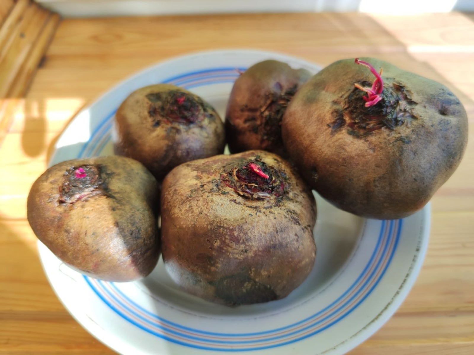 Дарьи Святохиной. «Общественная электронная газета».