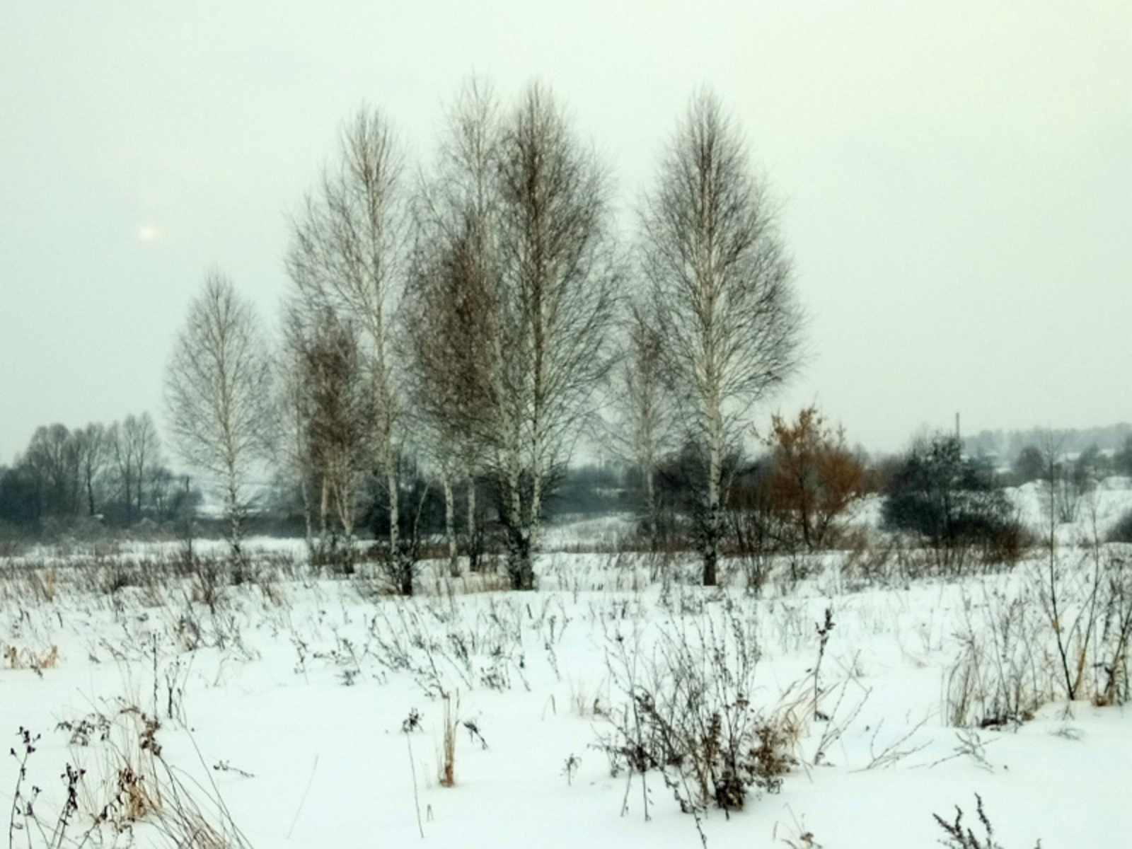 Фото Васили Саитовой.