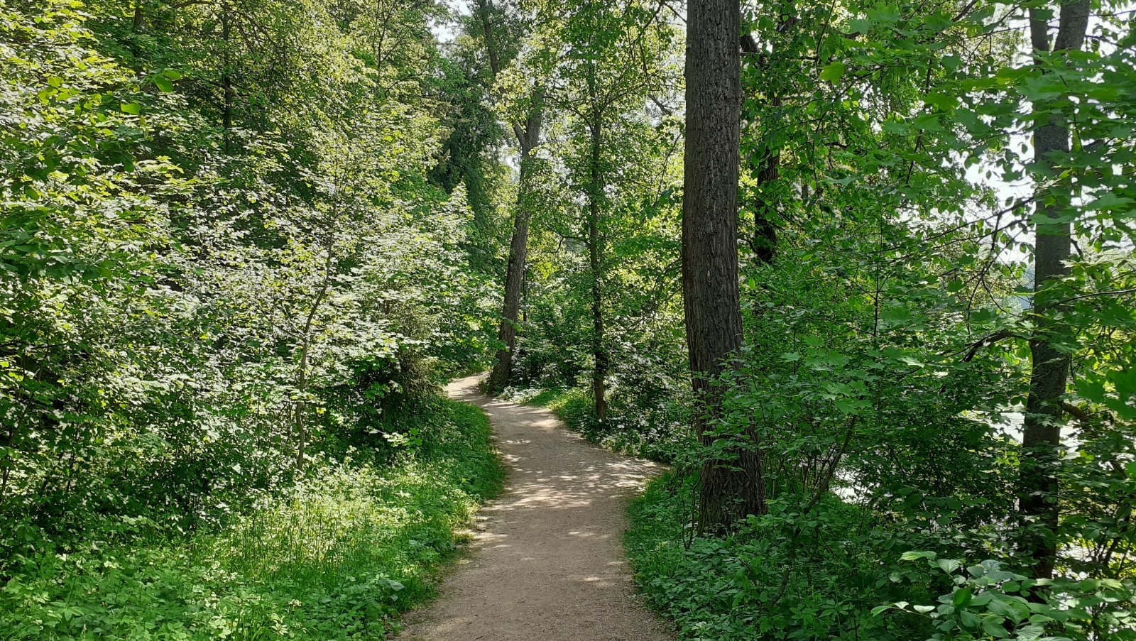 Владимира Шакиева.