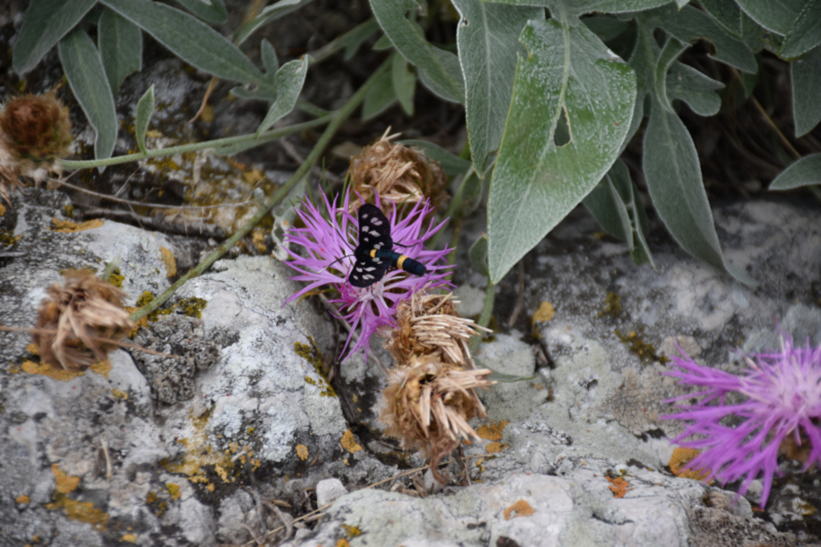 Фото Елены Колоколовой.