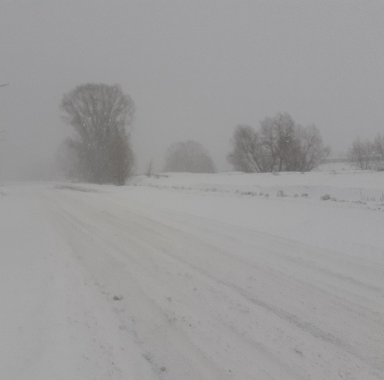 Владимира Шакиева.