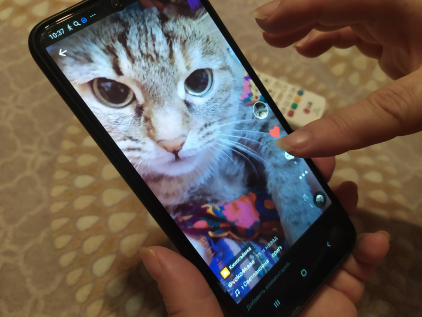 Фото Васили Саитовой.