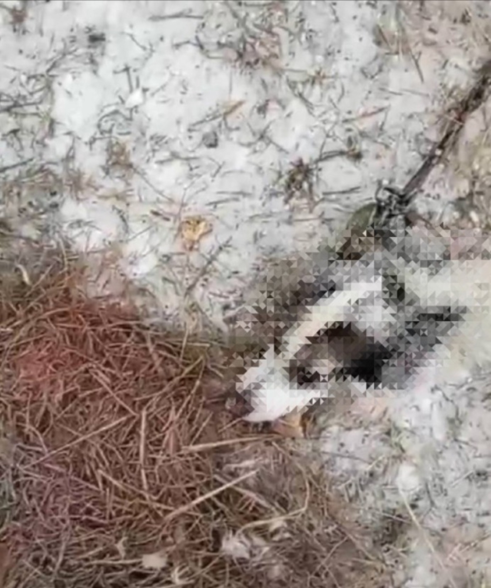 скриншот видео. ИА «Башинформ».