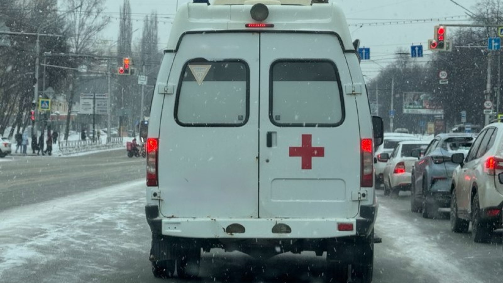 Елены Колоколовой. «Общественная электронная газета».