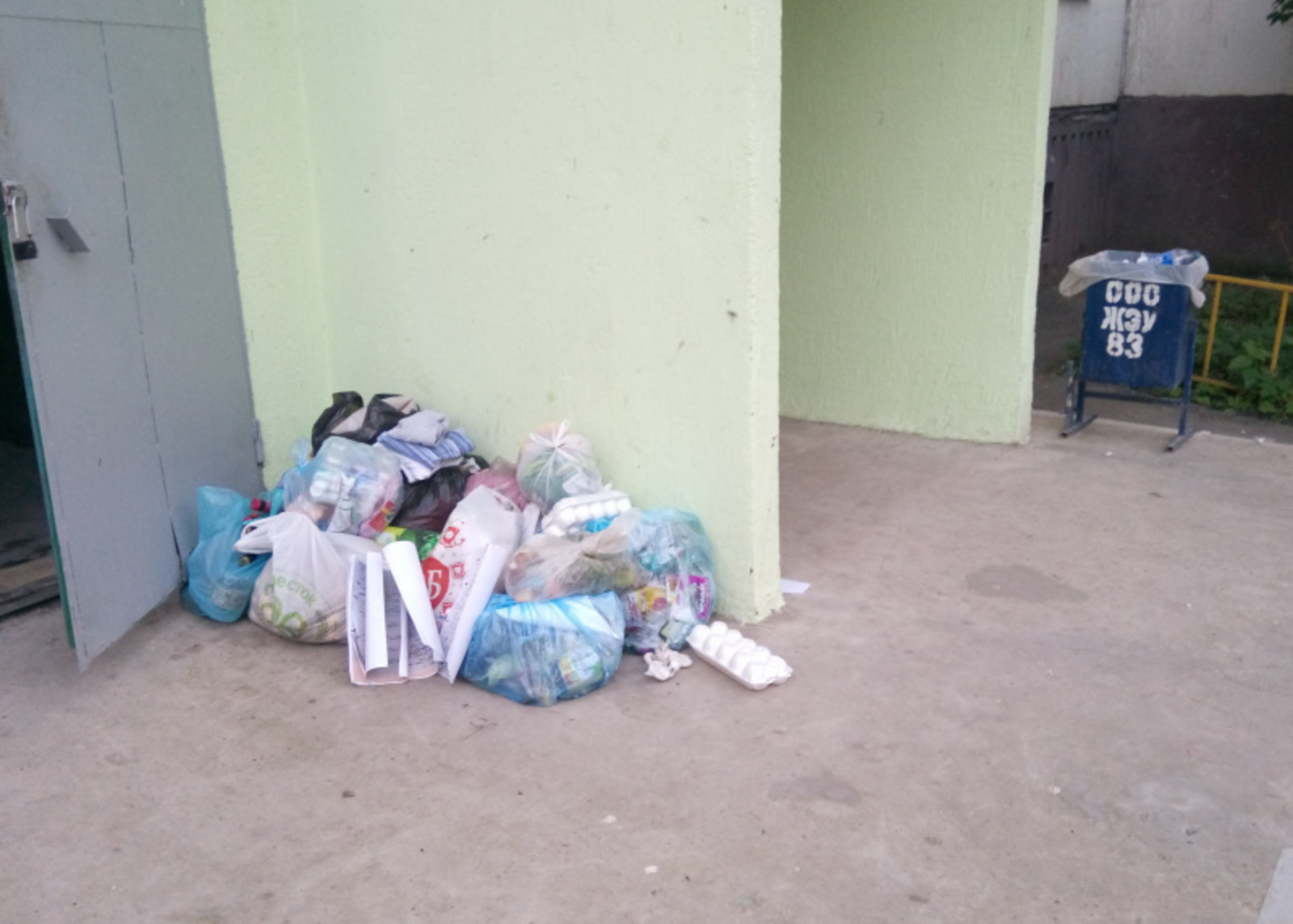 Фото Васили Саитовой.