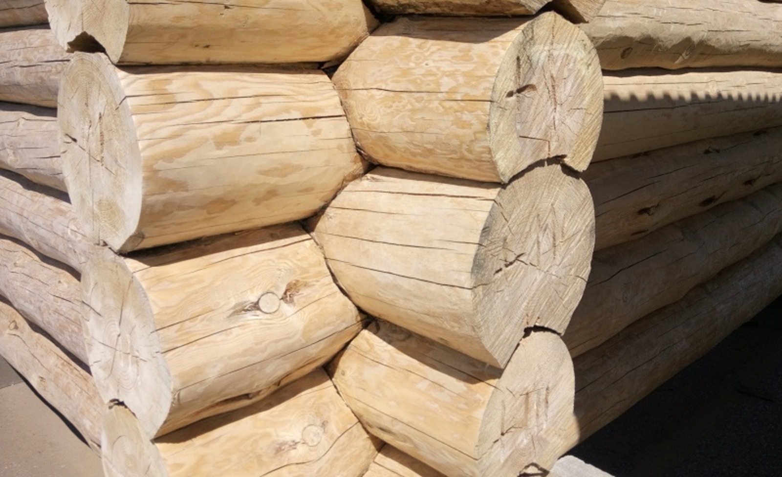 Фото Васили Саитовой.