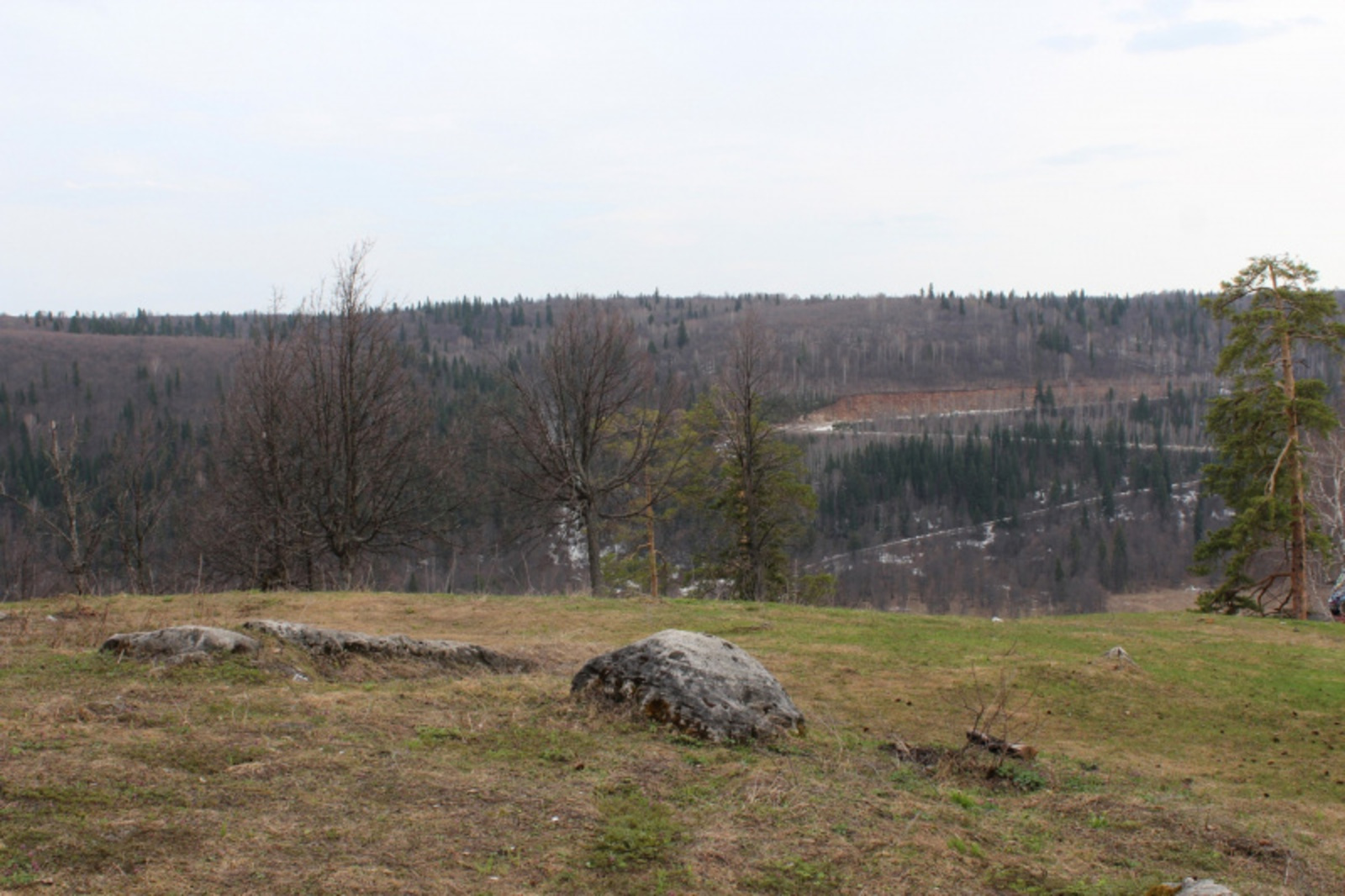 Фото автора.