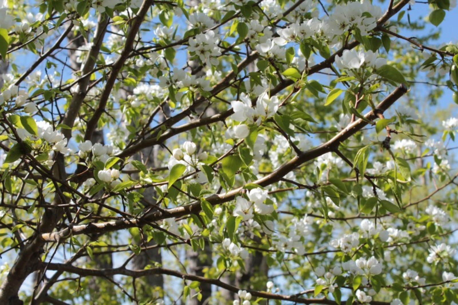 Дарьи Святохиной.