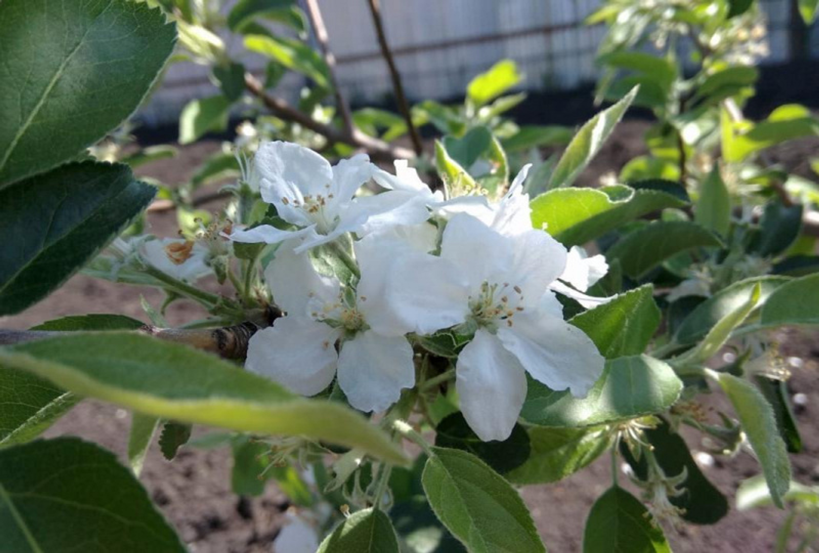 Фото Васили Саитовой.