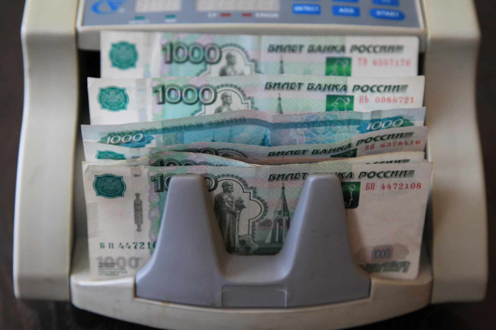 Фото Олега Яровикова.