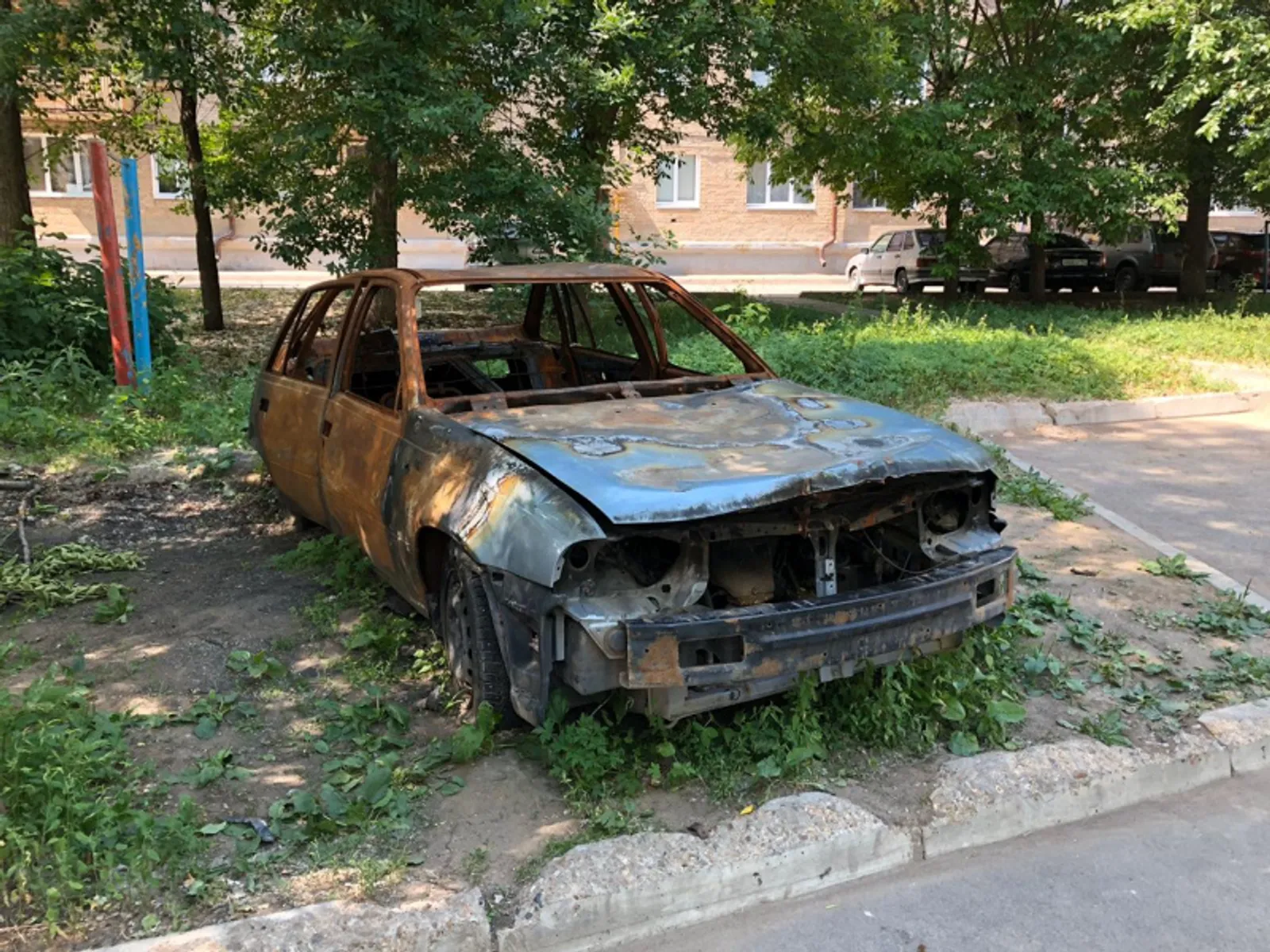 Фото автора.