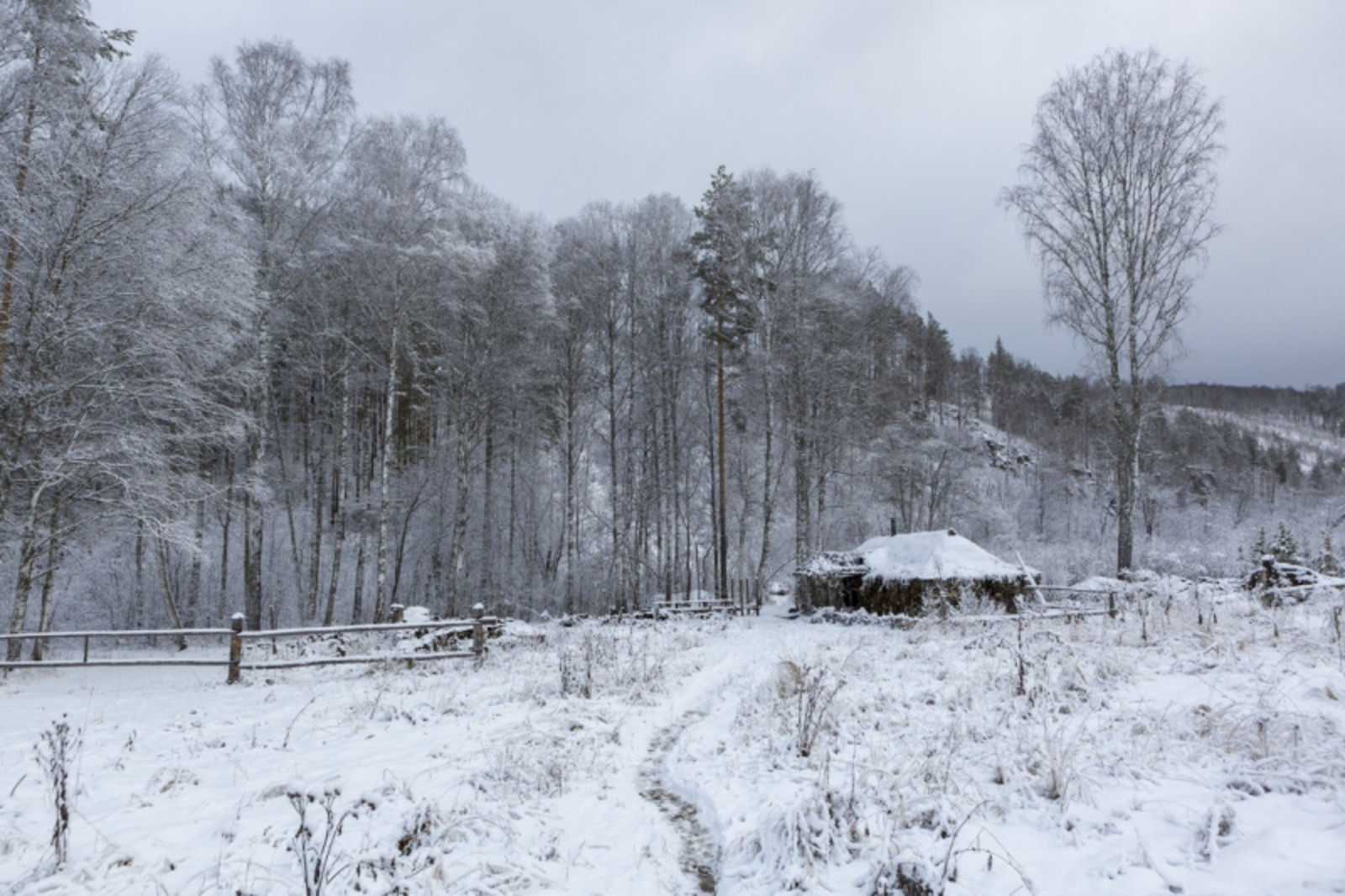 Фото Фаиля Абсатарова.