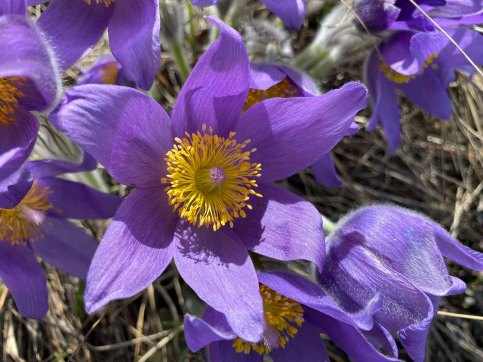 Фото автора.