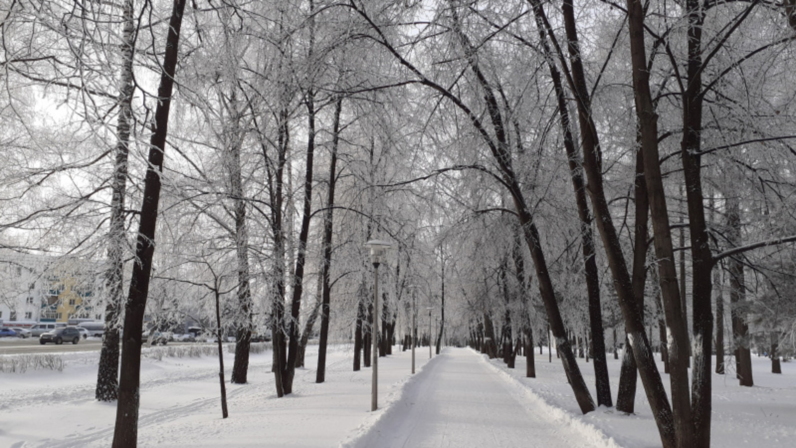 Фото автора.