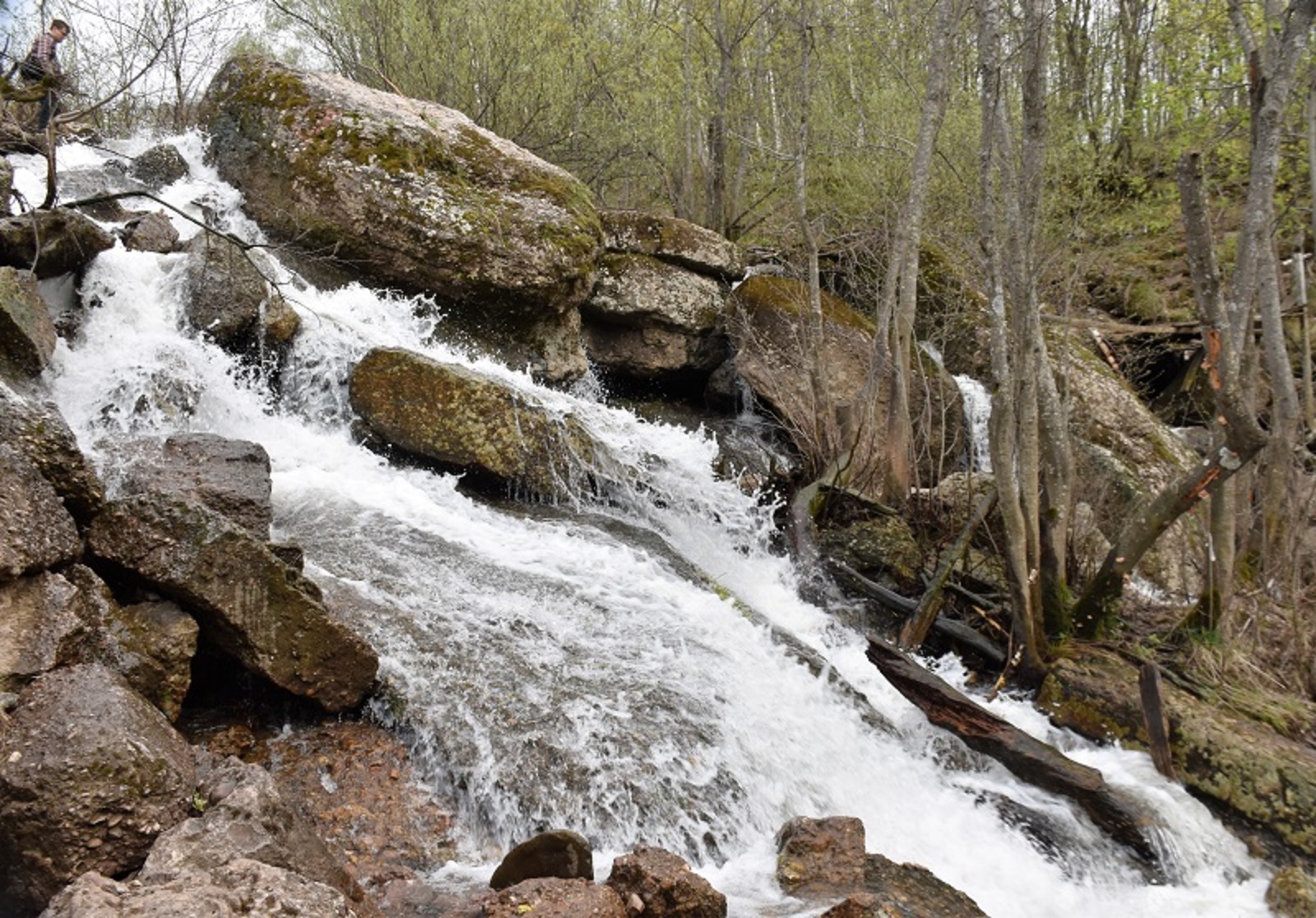 Фото автора.