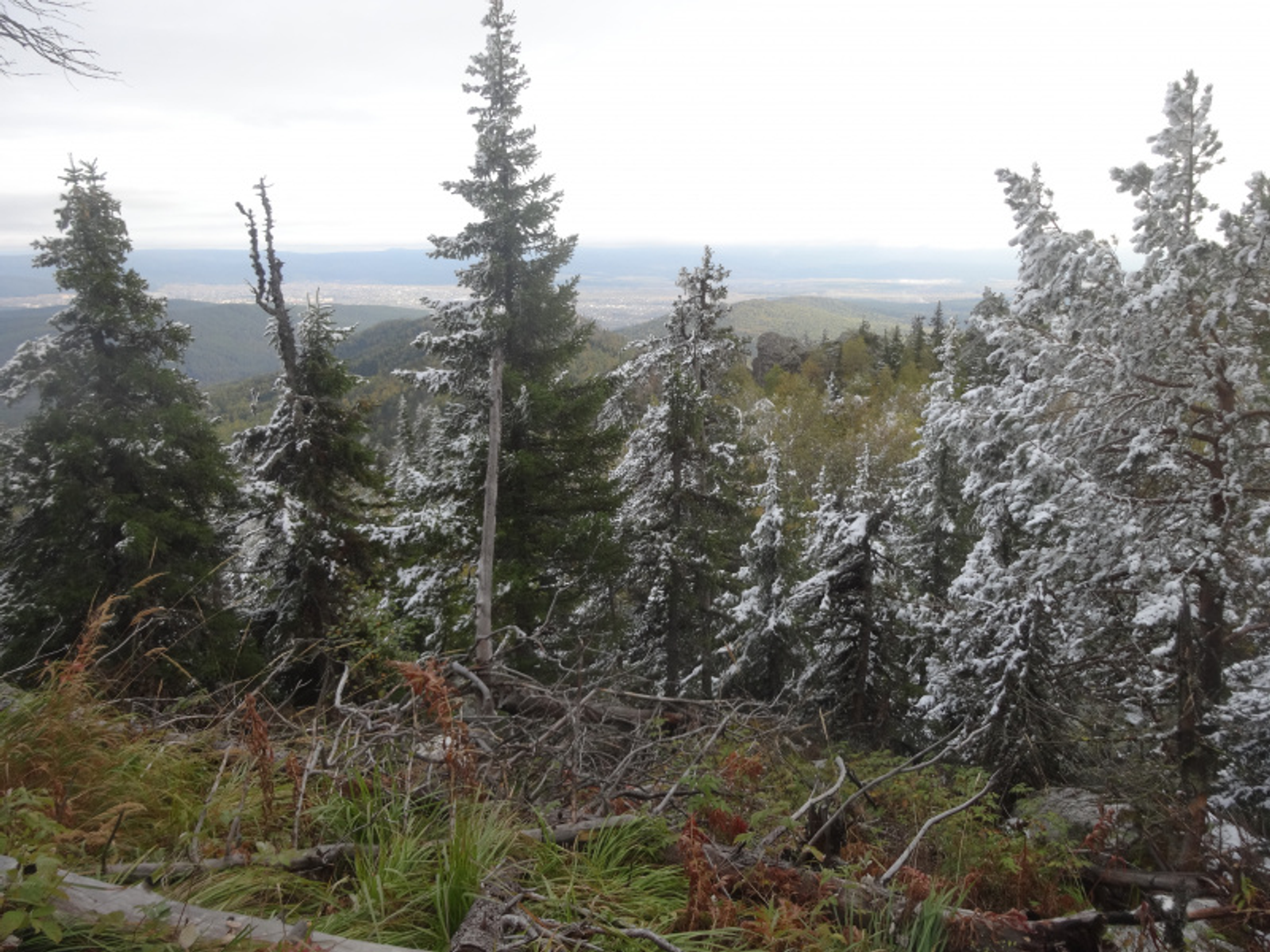 Фото автора.