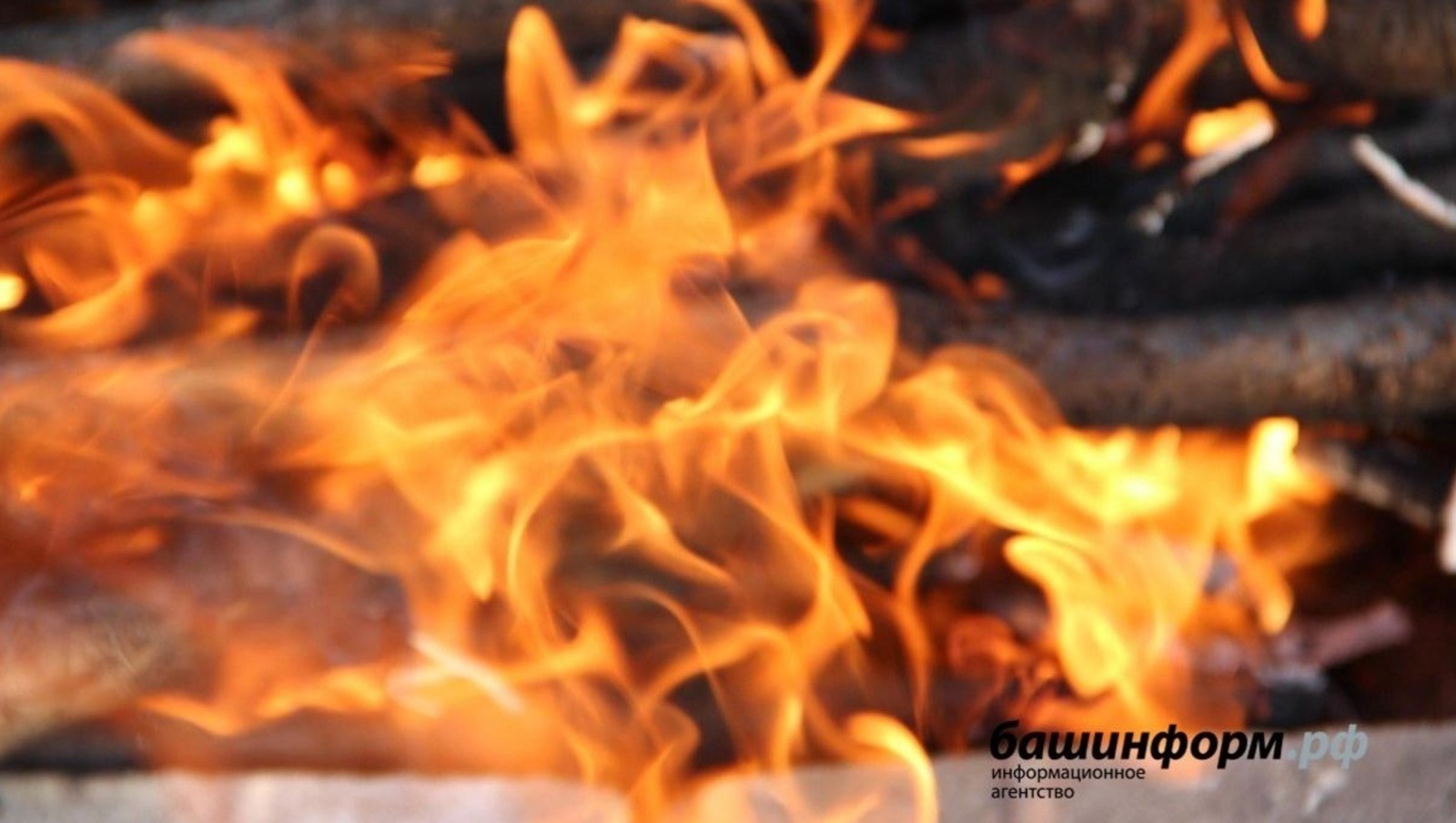 ИА Башинформ.