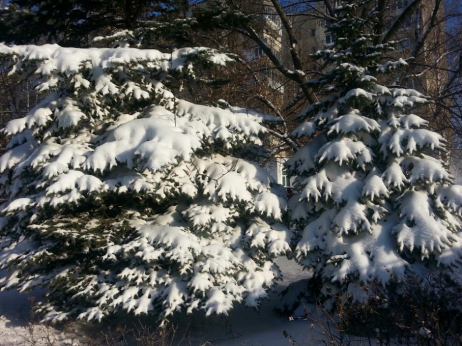 Дарьи Святохиной.