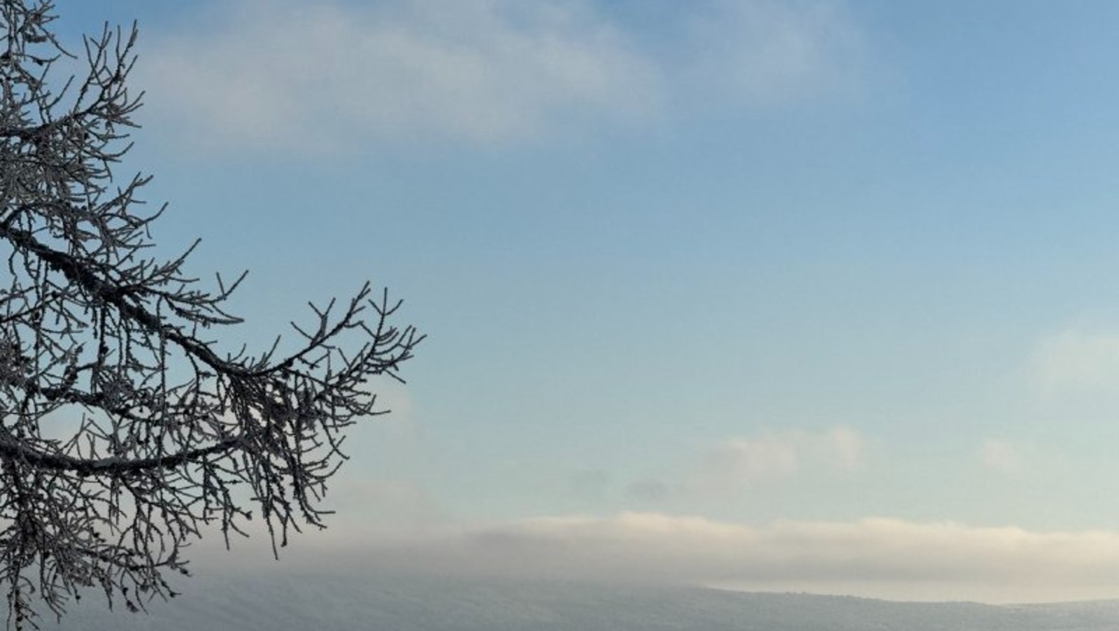 Елены Колоколовой. «Общественная электронная газета».