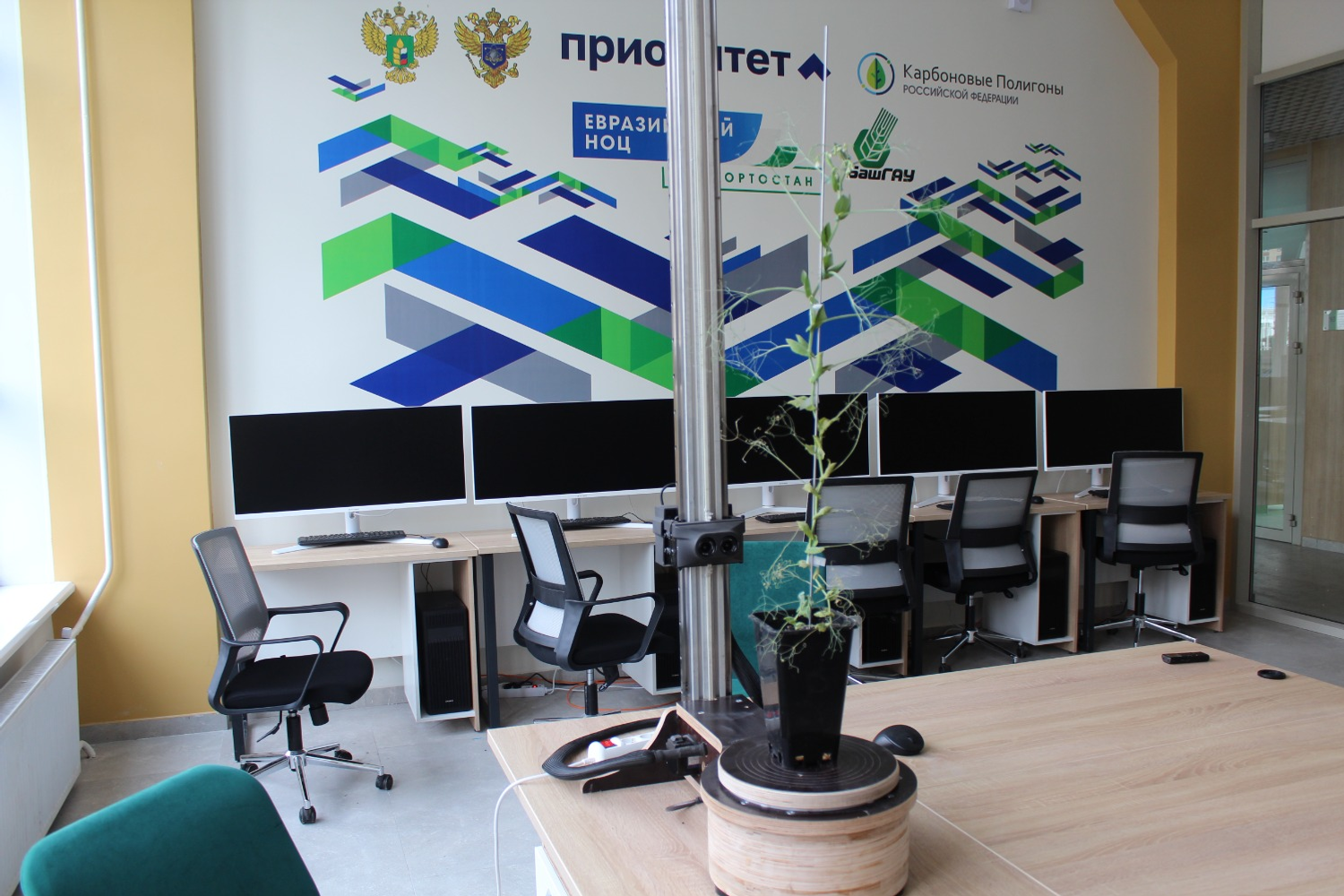 Дарьи Святохиной. «Общественная электронная газета».